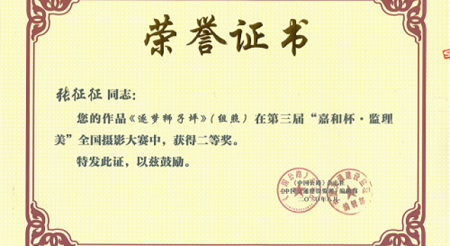 喜讯！公司员工获得“全国摄影大赛二等奖”