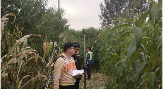 交通规划设计一院参与G309（胶州即墨界至S219段）新改建工程初步设计工作