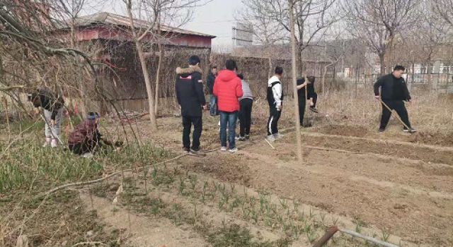 一米菜园，成就我们的田园梦