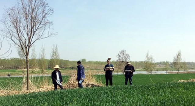 北京分院承接开展郯城县新南外环东延、西延工程可行性研究交通数据采集及外业调查工作