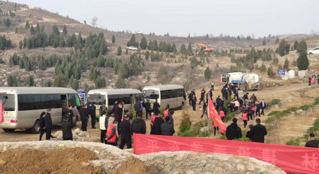 撒下一点绿色，播种一片绿意