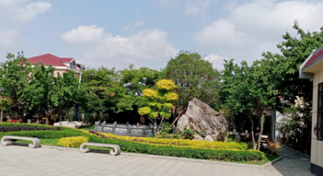 走进峄城石榴生态园