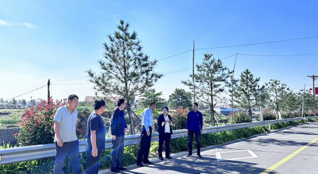 莒县龙山镇乡村振兴示范片区打造建设项目竣工验收