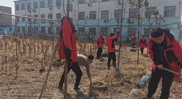 阳春三月，菜园翻新，济微一驻地办再添新绿